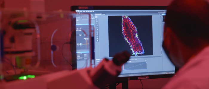 Male wearing face mask sat in front of a microscope looking at a screen which shows molecular imaging. In a red lite room.