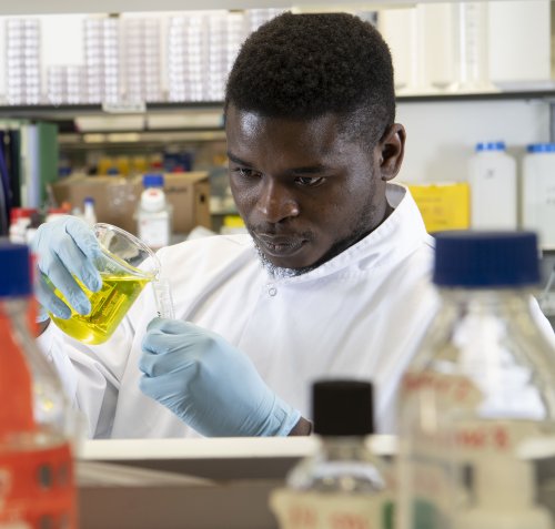 A researcher working in the Wolfson Wohl Cancer Research laboratories.