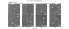 8 TEM images showing LNPs increasing in size as preparation conditions change