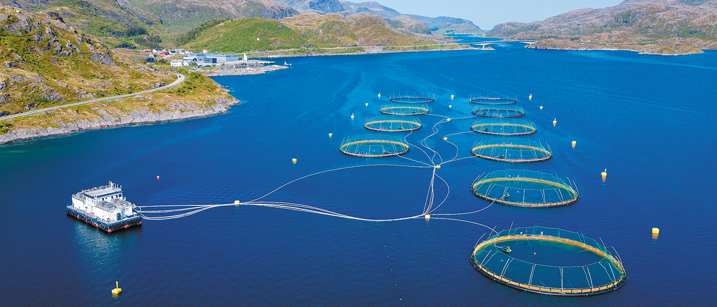 Fish farming