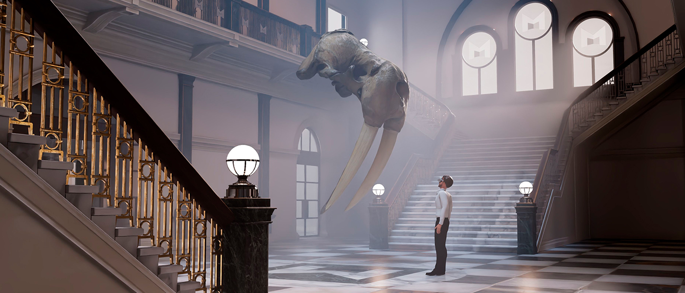 Hunterian walrus skull in virtual reality