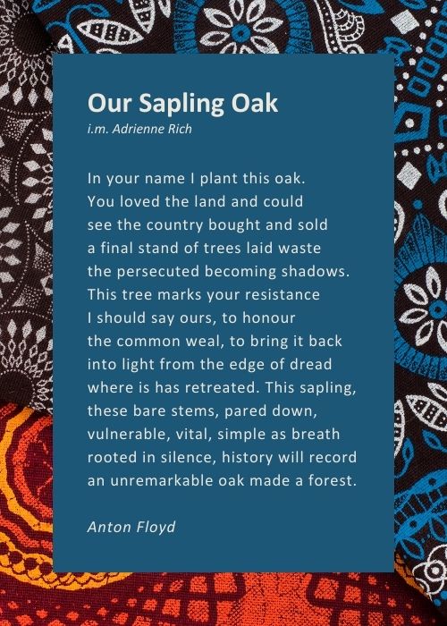 Our Sapling Oak i.m. Adrienne Rich. In your name I plant this oak. / You loved the land and could / see the country bought and sold / a final stand of trees laid waste / the persecuted becoming shadows. / This tree marks your resistance / I should say ours, to honour / the common weal, to bring it back / into light from the edge of dread / where it has retreated. This sapling, / these bare stems, pared down, / vulnerable, vital, simple as breath / rooted in silence, history will record / an unremarkable oak made a forest.