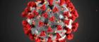 Close-up digital illustration of the SARS-CoV-2 virus, with red spike proteins on a grey, spherical viral surface.