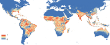 Global distribution of the Aedes Aegypti mosquito with affected areas highlighted red.