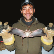 Image of Daniel Streicker holding a bat