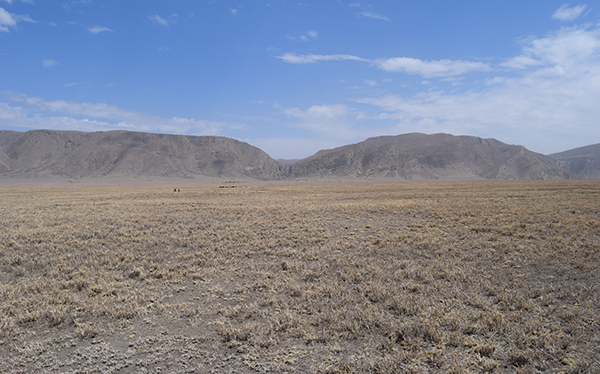 Ngorongoro conservation area, Tanzania