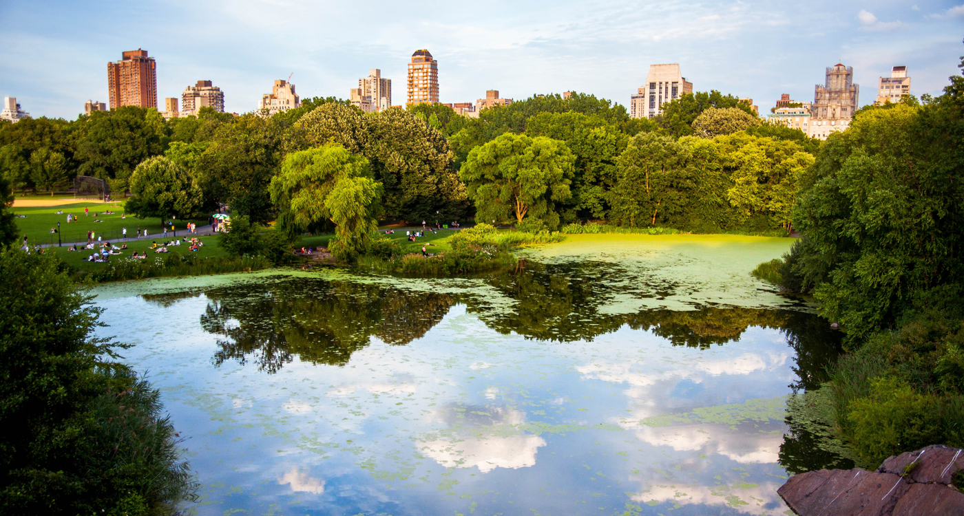 Central Park in New York