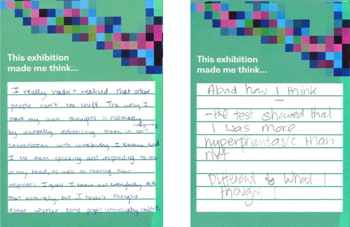 two green comment cards reading: 'I really hadn't realised that other people can't see stuff. [edited for brevity] I guess i knew not everybody did that naturally, but I havent thought about whether some people intrinsically couldn't' and 'This exhibition made me think about how I think. the test showed that I was more hyperphantastic than not. Different than what I thought'