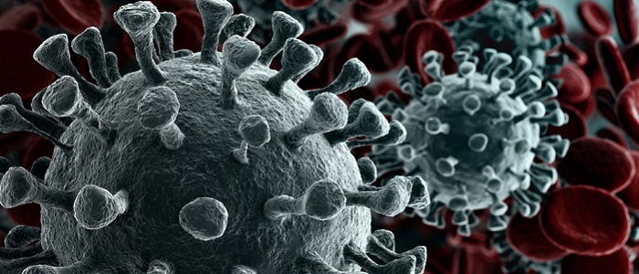 Coronavirus image