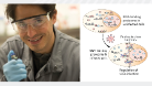 Image of Alfredo Castello holding a pipette (left) diagram of the different protein-RNA interactomes in virus-free and virus infection situations (right)