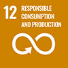 SDG12 icon