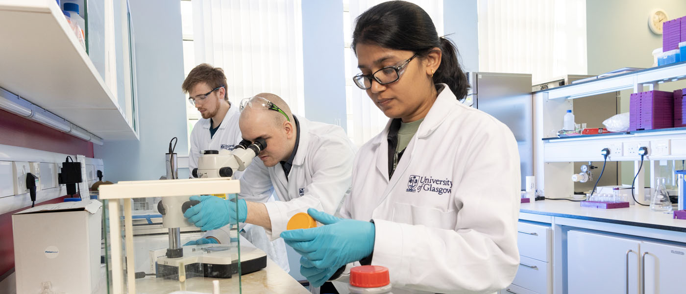 Students in a Chemistry laboratory in the Joseph Black Building