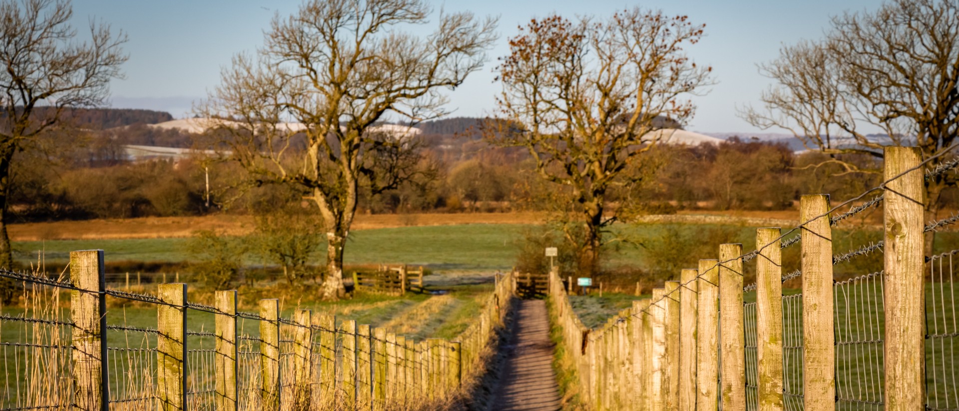 View down a lane in sunshine. Trees and hills in the background.