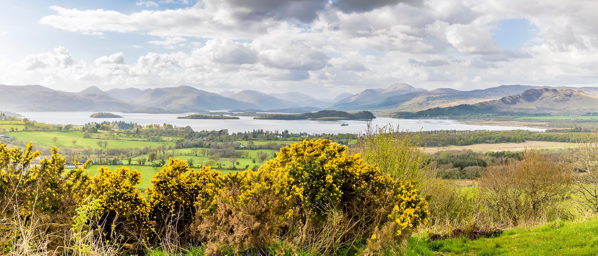 Gorse bushes in foreground loch and hills behind