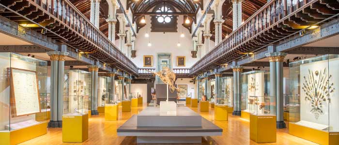 Pleisosaur skeleton and other objects in the Hunterian Museum main hall