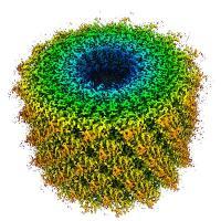 Cryo-EM reconstruction of tobacco mosaic virus