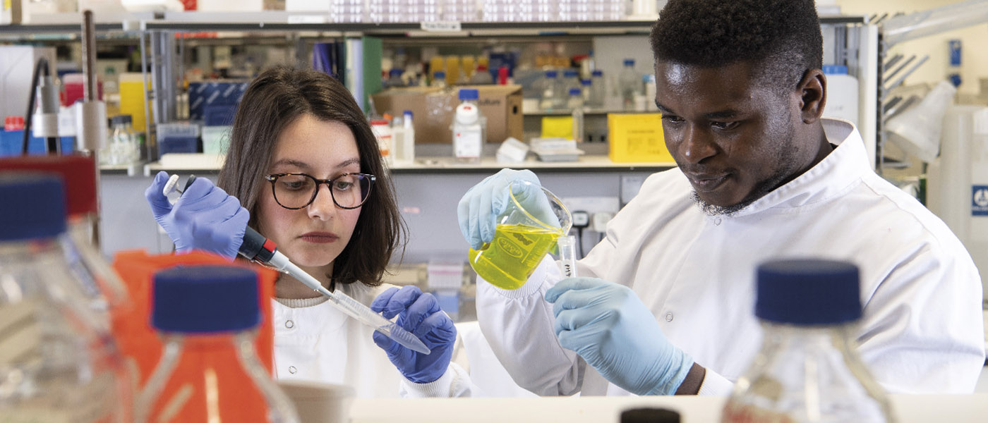 Researchers in a laboratory