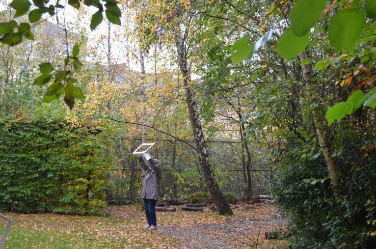 A study participant stands below autumnal trees. 